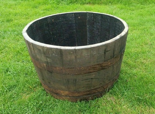 Freshly cut whisky barrels - ,